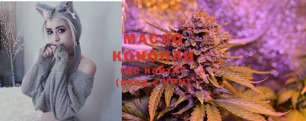 СК Коряжма