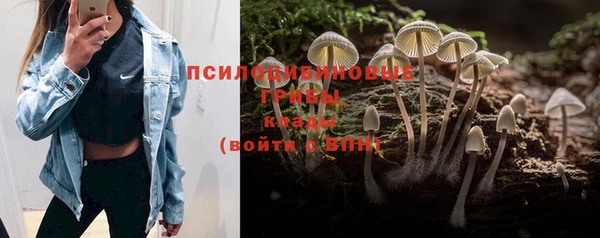 jwh Корсаков
