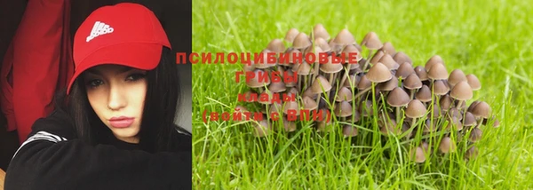таблы Костерёво