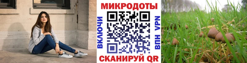 Галлюциногенные грибы GOLDEN TEACHER Купить где Теберда