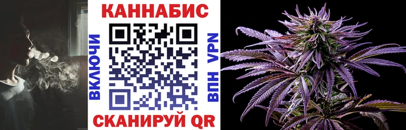 Бошки марихуана VHQ  Купить закладки  Теберда 